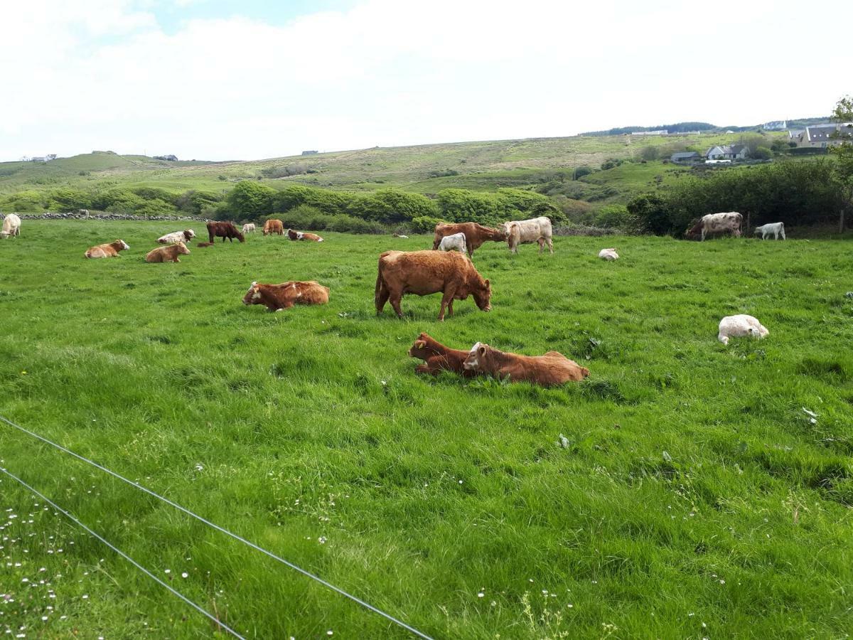 Doolin Farm Apartment Esterno foto